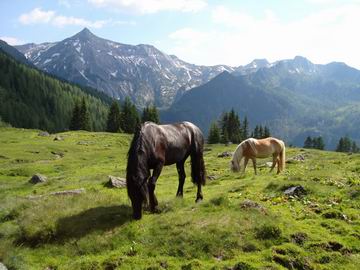 Rossegerhaus - Huis - Omgeving - Familie van Stralendorff - Roessing 10 - 8972 Ramsau am Dachstein - Oostenrijk